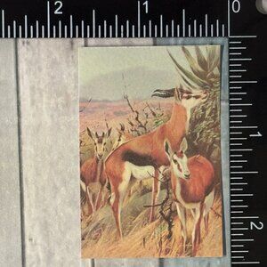 🌀10/$10🌀 Classic Hoofed Beasts Reusable Washi Sticker Decal